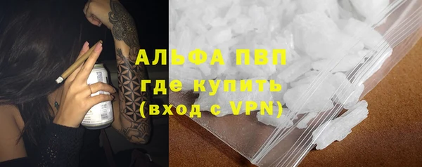 сатива Бежецк