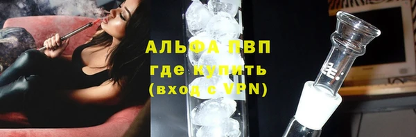 прущие грибы Покров
