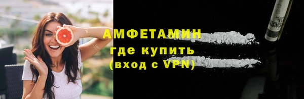 прущие грибы Покров