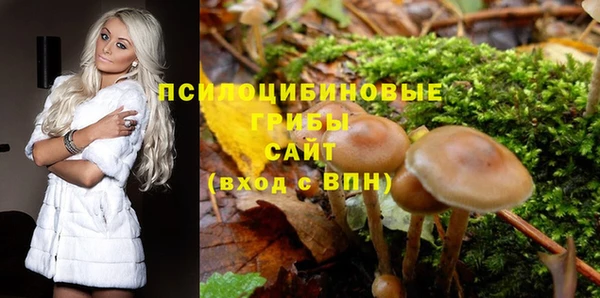 прущие грибы Покров