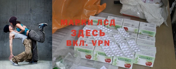 прущие грибы Покров