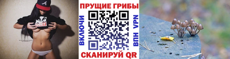 дарк нет официальный сайт  наркошоп  Темников  Псилоцибиновые грибы GOLDEN TEACHER 